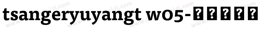 tsangeryuyangt w05字体转换